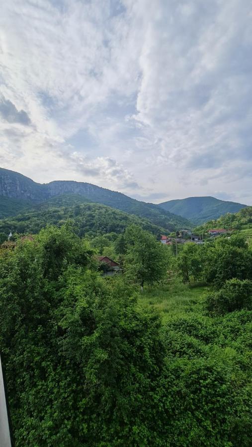 ホテル Casa Anne Băile Herculane エクステリア 写真