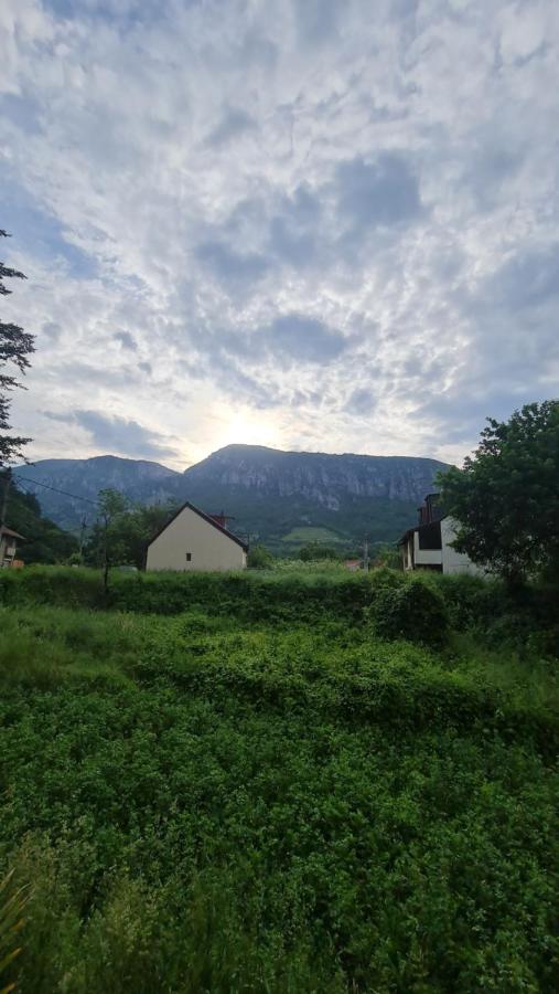 ホテル Casa Anne Băile Herculane エクステリア 写真