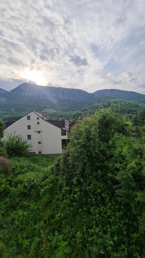 ホテル Casa Anne Băile Herculane エクステリア 写真